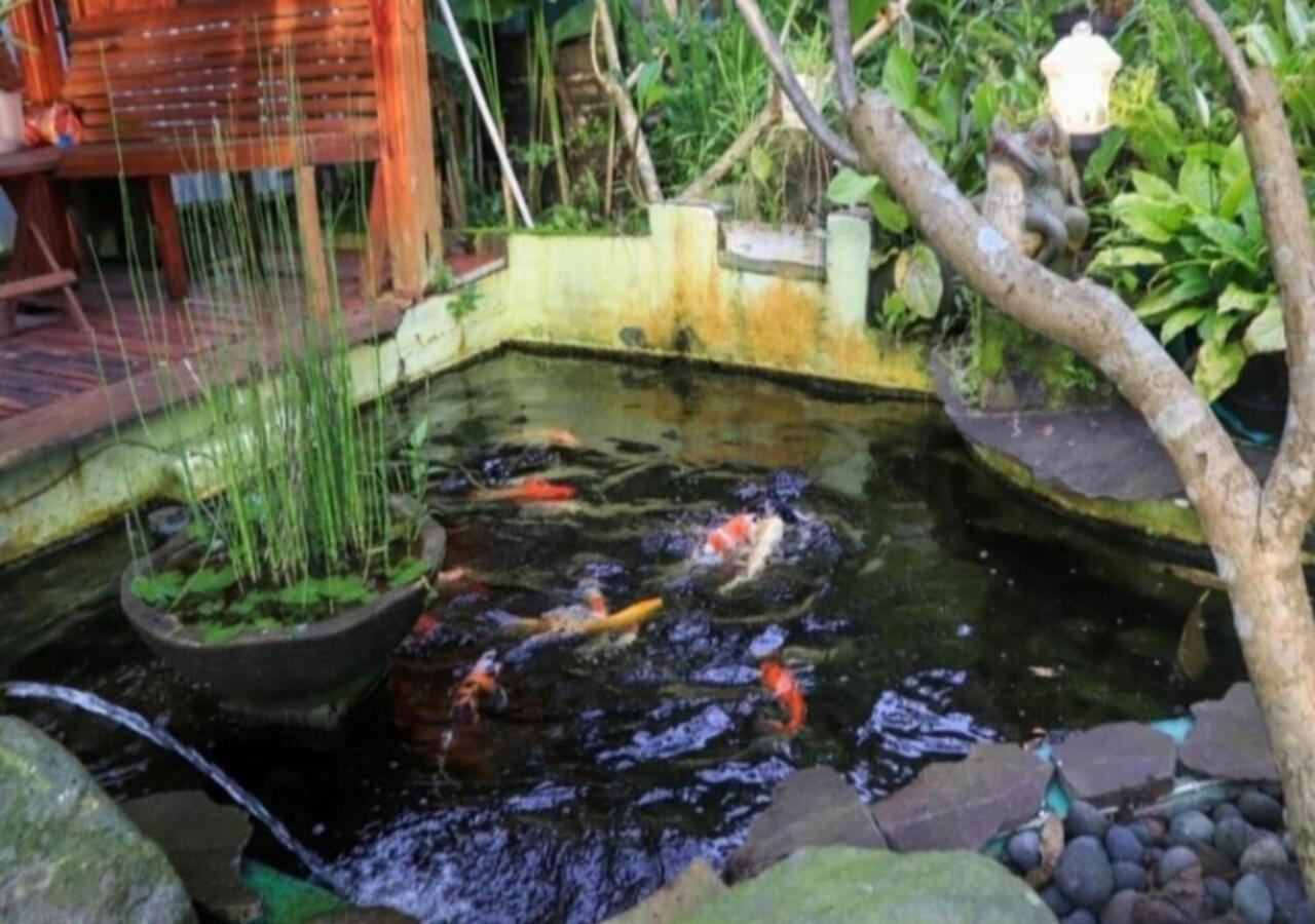 Bujak Permai Villa Matahari Lombok Ntb Praya Kültér fotó