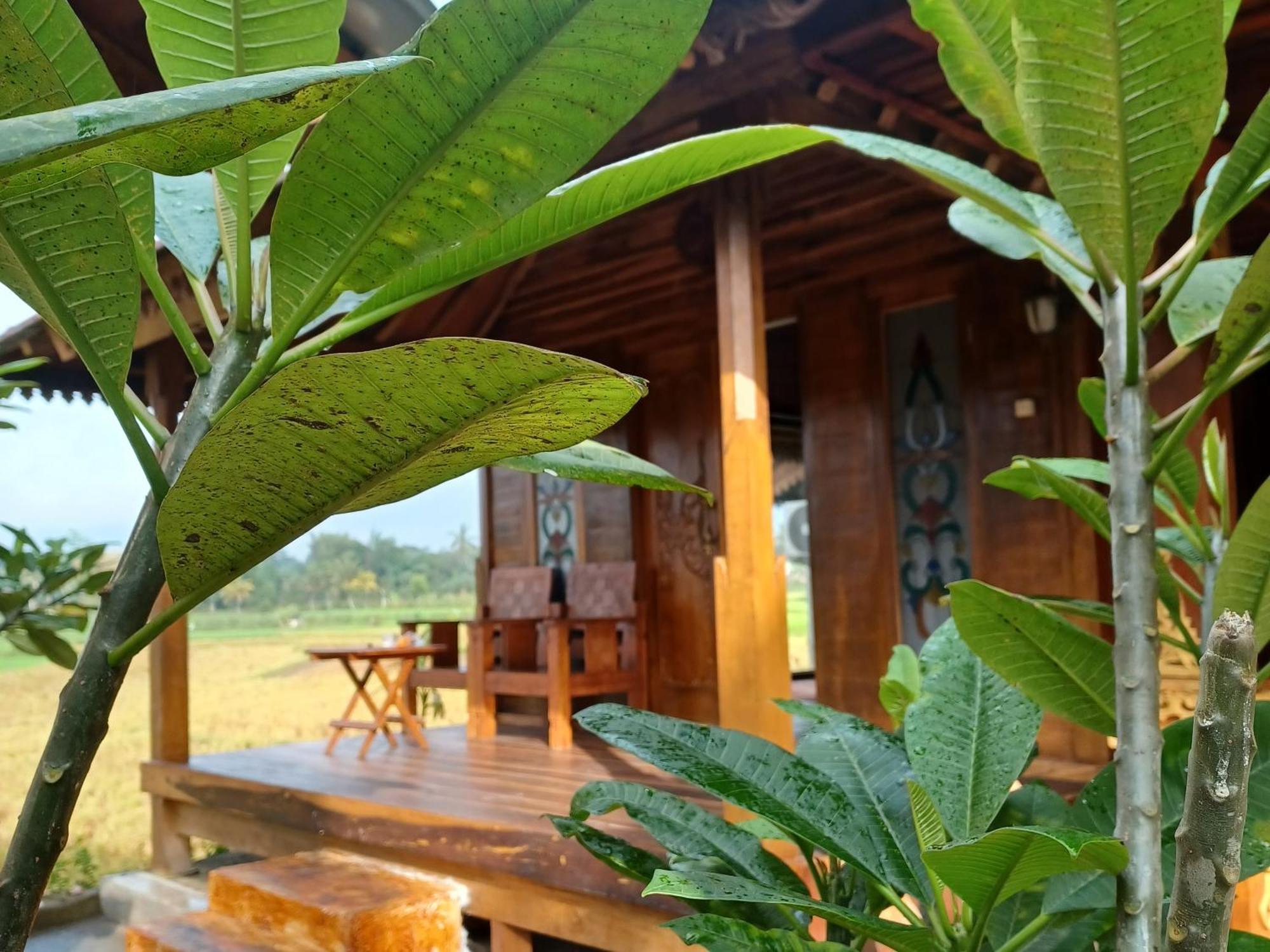 Bujak Permai Villa Matahari Lombok Ntb Praya Kültér fotó
